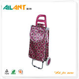 Shopping trolley,ELD-B301-6 -Normal Style Shopping Trolley (121)