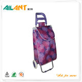 Shopping trolley,ELD-B301-3 -Normal Style Shopping Trolley (108)