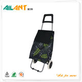 Shopping trolley,ELD-C305-1 -Normal Style Shopping Trolley (81)