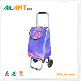 Shopping trolley,ELD-X101-3 -Normal Style Shopping Trolley (63)