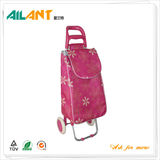 Shopping trolley,ELD-B301-2 -Normal Style Shopping Trolley (114)