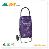 Shopping trolley,ELD-S101-5 -Normal Style Shopping Trolley (93)