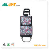 Shopping trolley,ELD-B301-17 -Normal Style Shopping Trolley (107)