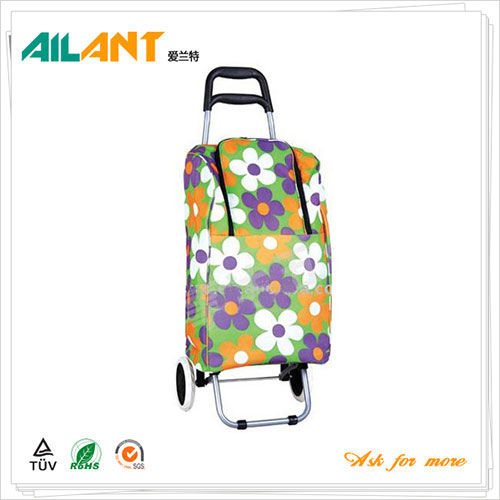 Shopping trolley,ELD-C109-2-With Cooler (3) Shopping trolley,ELD-C109-2-With Cooler (3)