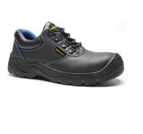 Safety shoes -WL-8670