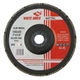 Flap Disc for Metal-