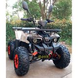 125cc New ATV-BS110-8