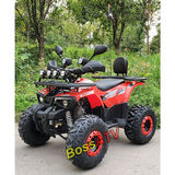 110cc and 125cc ATV　 -BS110-8