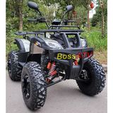 250cc Chain Drive ATV -BS250-2-10