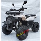 BS110-10 -125CC NEW ATV