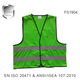fs1904-green