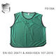 fs1304-green