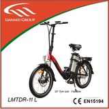 LMTDF-11L -LMTDF-11L
