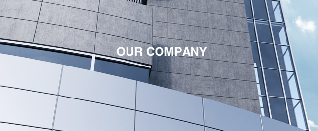 Our company